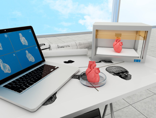 Más que tinta y plástico: llega la impresión 3D de órganos humanos